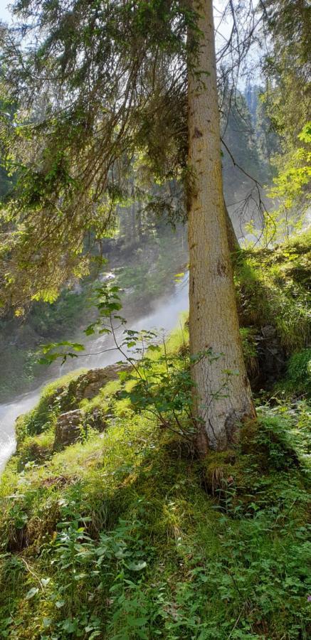 Vila Wettermatte Kiental Exteriér fotografie